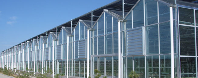 山東柏科阿姆農(nóng)業(yè)科技開(kāi)發(fā)有限公司