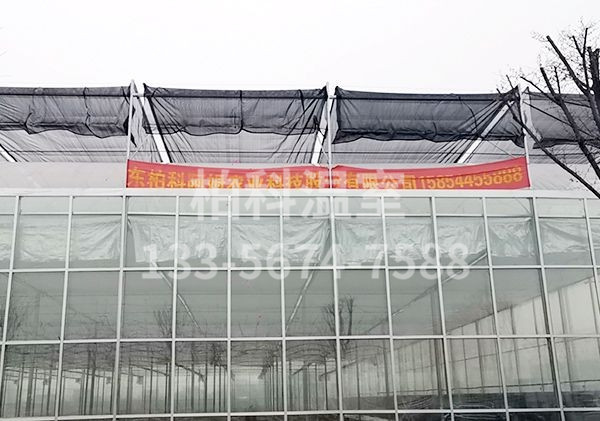 small4_15864808844956281