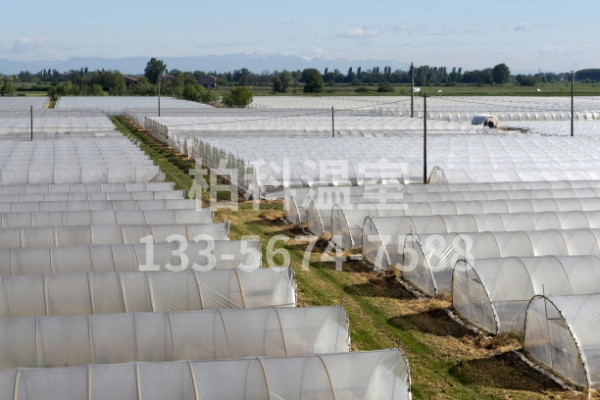 微信圖片_20211019104520