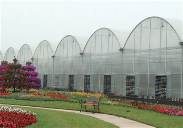 山東連棟薄膜大棚建設(shè)廠(chǎng)家