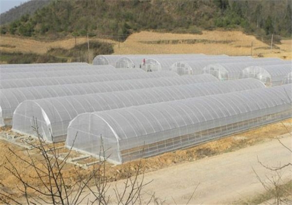 山東連棟薄膜大棚建設(shè)廠家