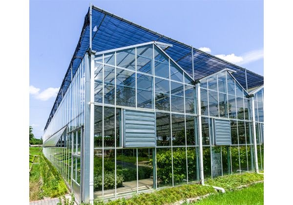 山東玻璃溫室廠家