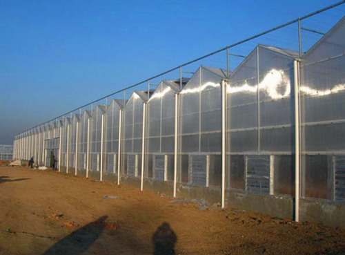 山東日光溫室大棚施工廠家