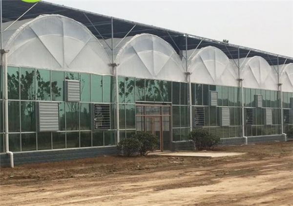 山東連棟薄膜大棚建設(shè)廠家