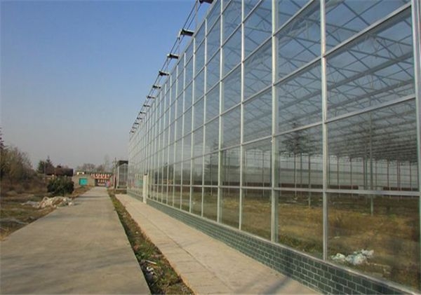 山東連棟薄膜大棚建設(shè)廠家