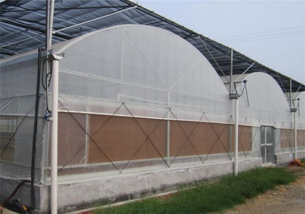 山東連棟薄膜大棚建設(shè)廠家