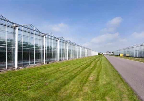 山東溫室大棚廠家