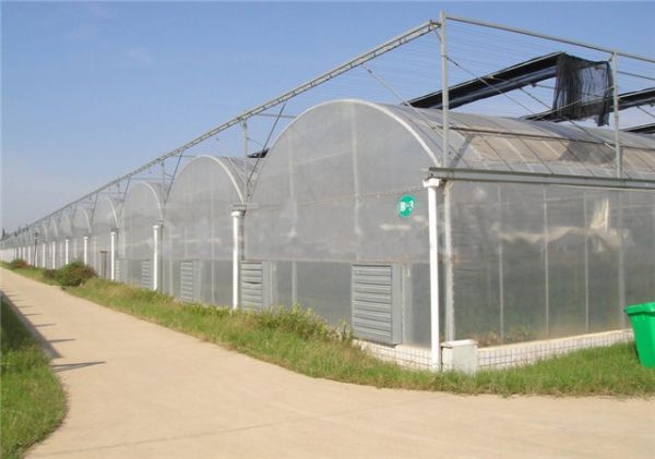山東連棟薄膜大棚建設(shè)廠家
