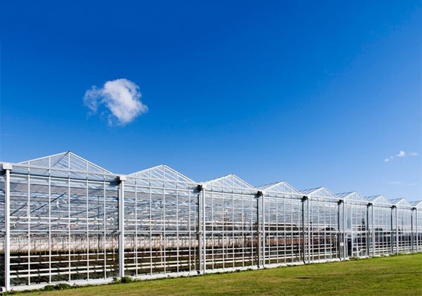 山東玻璃溫室廠家