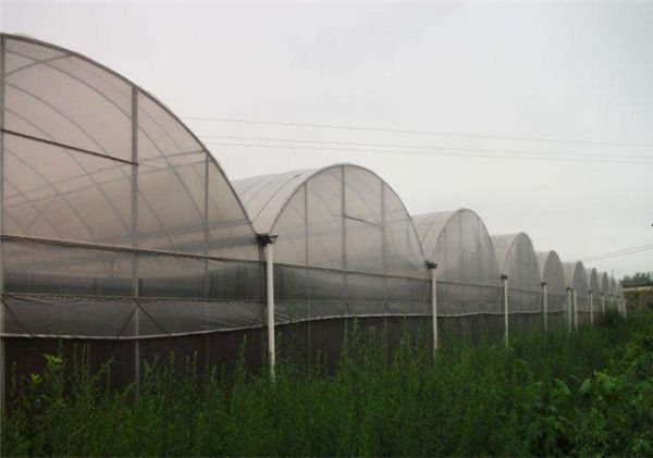 山東溫室大棚廠家