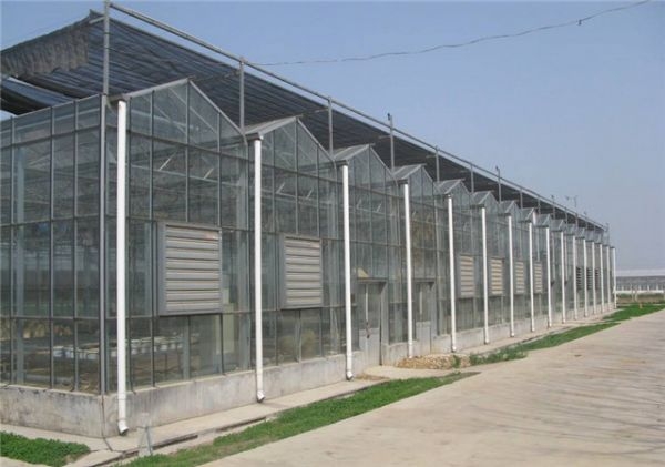 山東溫室大棚廠家