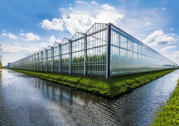 山東玻璃溫室廠家