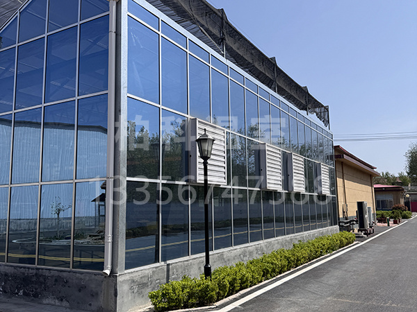 工廠(chǎng)一角